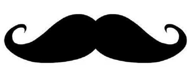 bigotes